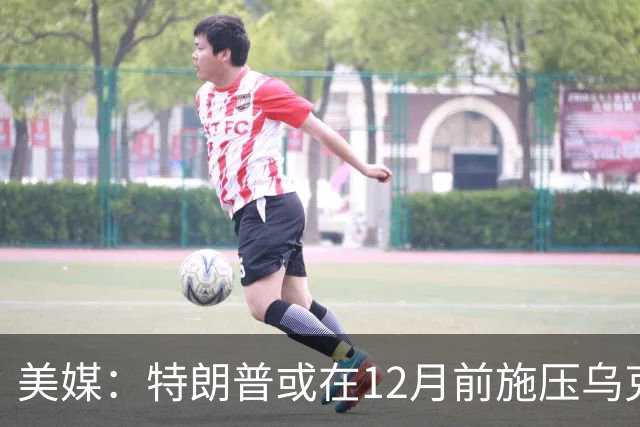 美媒：特朗普或在12月前施压乌克兰，让出顿巴斯